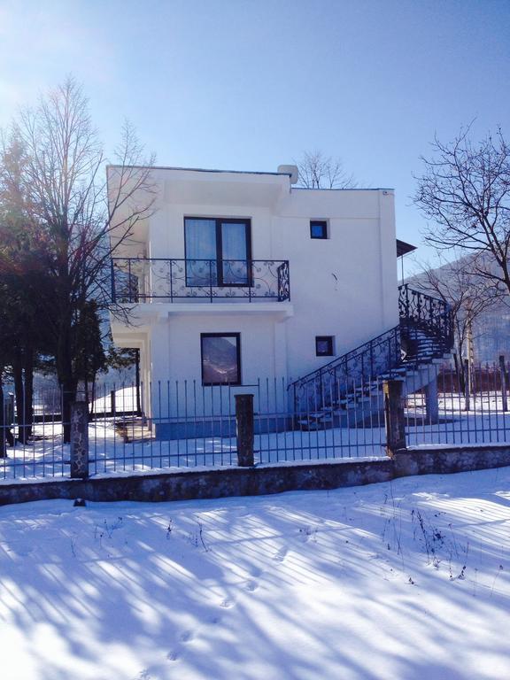 Vila Blanca Alexandru cel Bun Rom bilde